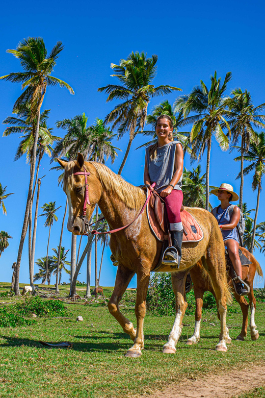 Miches: Full Day Tour Wild District Experience. - Culinary Experience