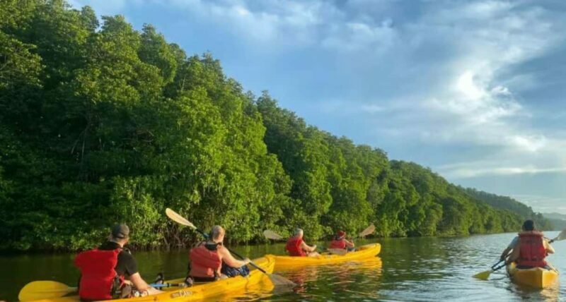 Miches: Private Kayak Excursion Through El Limón Lagoon - Who Will Love This Tour?