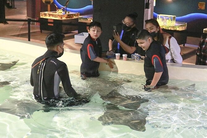 Michin Aquarium Puebla Ticket - Operating Hours and Schedule