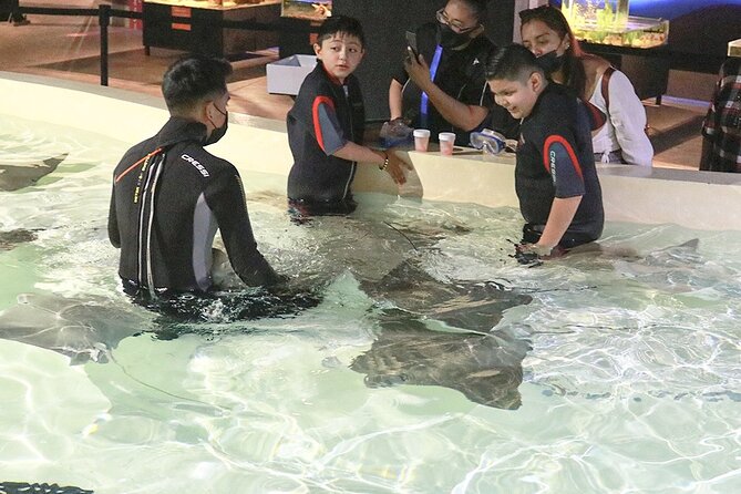 Michin Aquarium Puebla Ticket - Accessibility Features