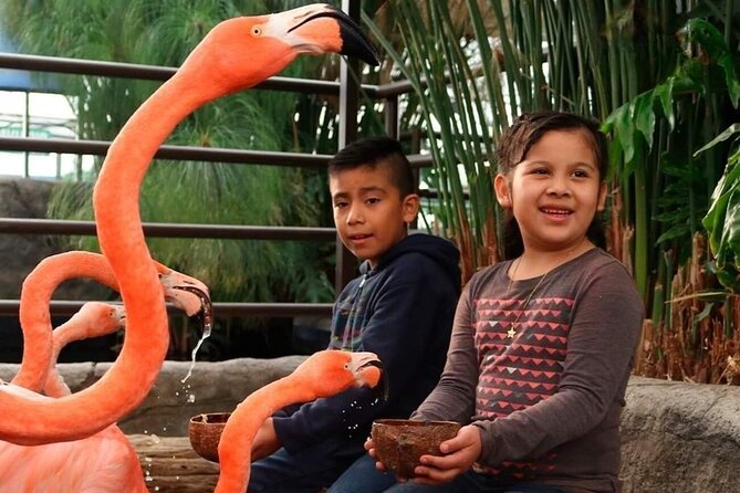 Michin Aquarium Puebla Ticket - Visitor Reviews and Ratings
