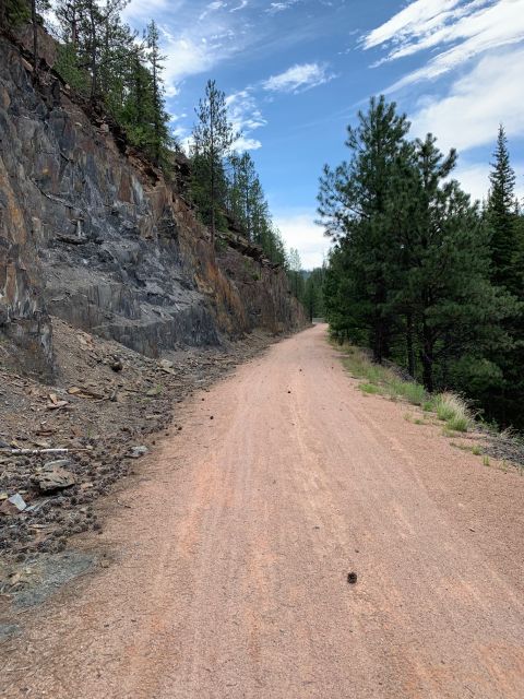 Mickelson Trail: 20-Mile Private Bicycle Tour - Booking and Pricing