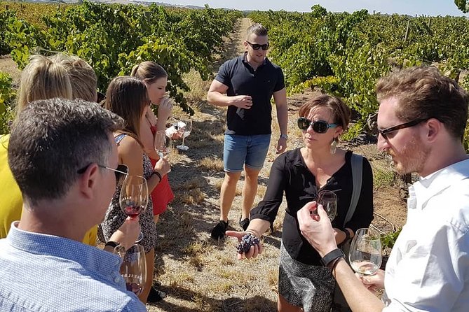 Micro-Group Barossa Valley Wine Tour From Adelaide - Boutique Winery Visits