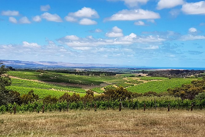 Micro-Group Mclaren Vale Wine Tour From Adelaide - Pricing