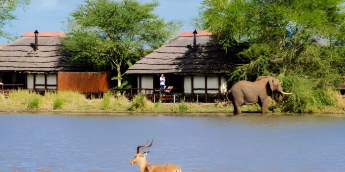 Mid-High End 5 Day All-Inclusive Kruger & Pano Tour From JHB - Contact Information