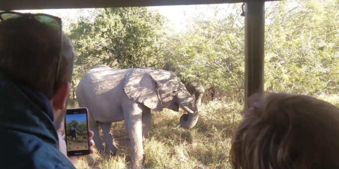 Mid-High End 5 Day Kruger All Inclusive Safari From Joburg! - Frequently Asked Questions