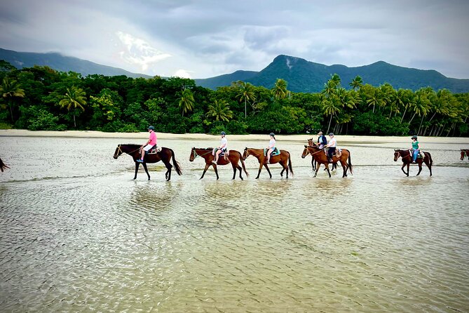 Mid-Morning Beach Horse Ride in Cape Tribulation - Meeting and Pickup Locations