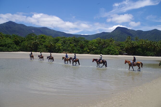 Mid-Morning Beach Horse Ride in Cape Tribulation - Tour Group Size and Restrictions