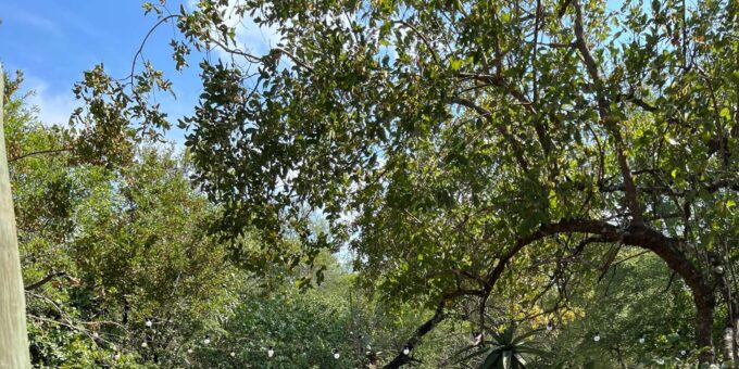 Mid-Range 5 Day Kruger Park All Inclusive Safari From Joburg - Additional Activities