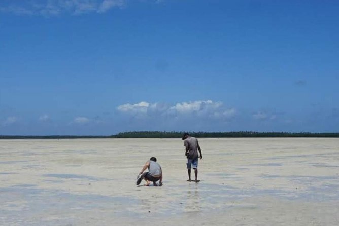 Mida Creek Boardwalk and Canoa Ride - Mangroves and Mudflats Boardwalk