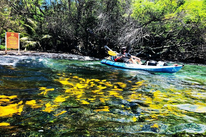 Midday Meander - Kealakekua Bay Kayak and Snorkel Adventure - Passionate Guides and Personalized Experience