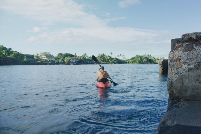 Midday Meander - Kealakekua Bay Kayak and Snorkel Adventure - Recommendations and Accessibility Considerations