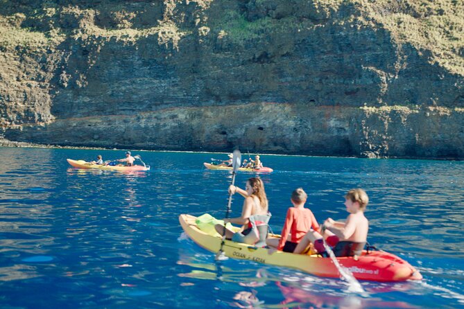 Midday Meander - Kealakekua Bay Kayak and Snorkel Adventure - Pricing, Cancellation, and Booking Flexibility