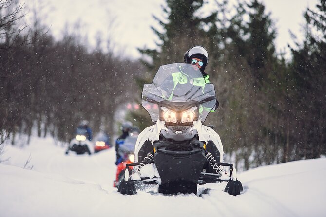 Midday Snowmobiling in Camp Tamok With Guide - Quick Points