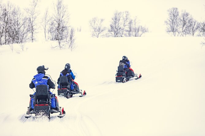 Midday Snowmobiling in Camp Tamok With Guide - Exploring the Scenic Landscape