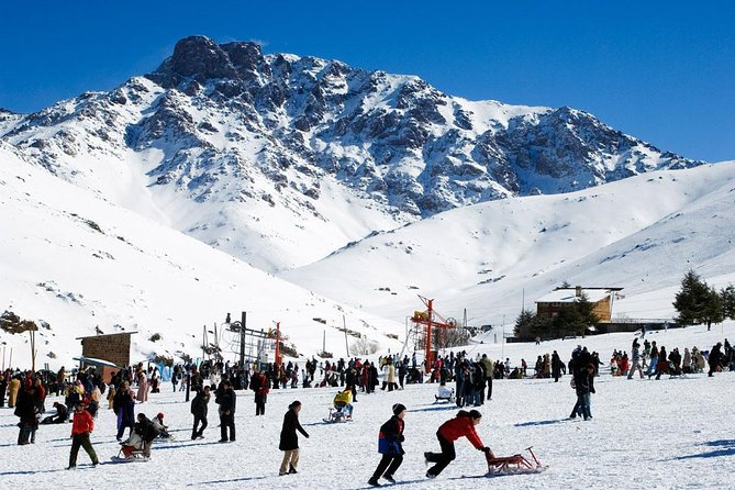 Middle Atlas Mountain FULL Day Trip From Fes - Private Transportation - Booking Information