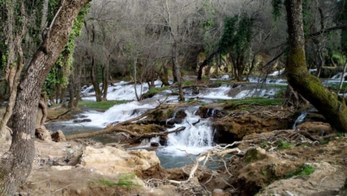 Middle Atlas:Day Trip From Fez To The Middle Atlas Mountains - Discover National Park