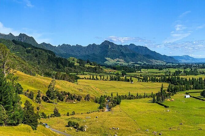 Middle Earth Private Tour from Tauranga Cruise Port. Tickets incl - Discover the Magic of Middle-earth on a Private Tauranga Tour