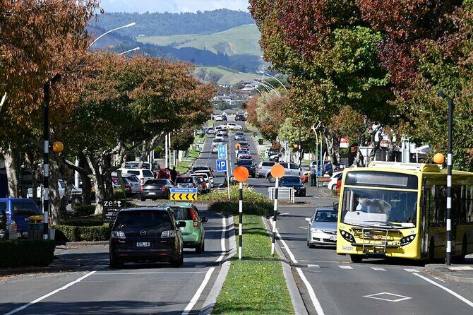 Middle Earth Private Tour from Tauranga Cruise Port. Tickets incl - Key Points
