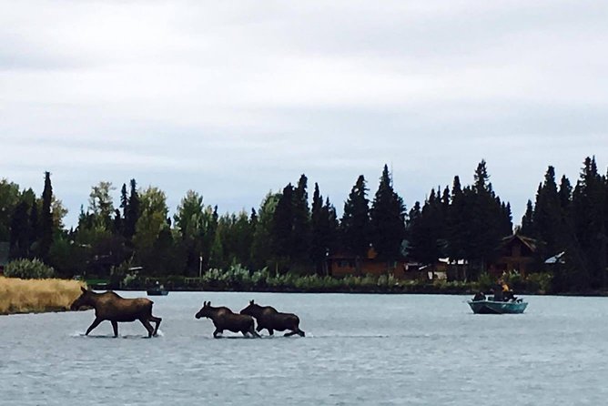 Middle Kenai River Full-Day Fishing Trip - Meeting and End Points