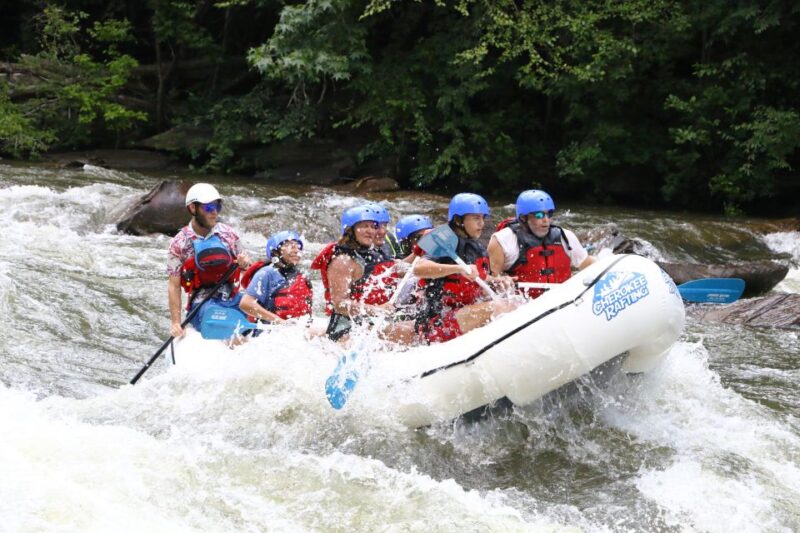 Middle Ocoee River Whitewater Rafting Trip - Rapid Navigation