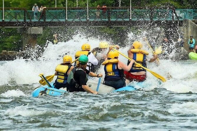 Middle Ocoee Whitewater Rafting - The Sum Up: Who Should Consider This Trip?