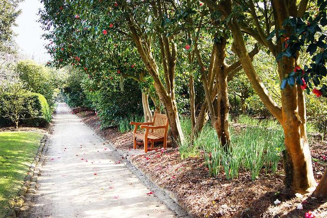 Middleton Place Admission With Self Guided Tour and Lunch - Additional Details
