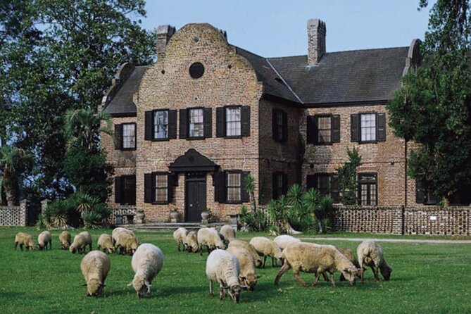 Middleton Place Plantation - 3 Hour Guided Tour - Hotel Pickup - Tour Details