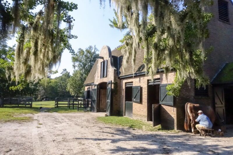 Middleton Place Plantation Tour - Customer Feedback
