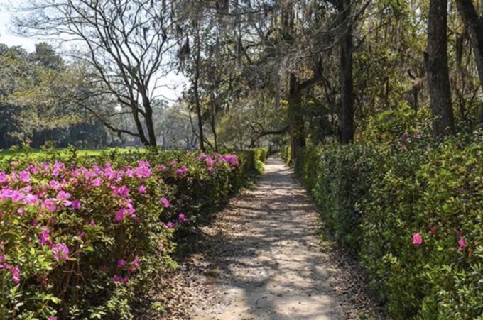 Middleton Place Plantation Tour - Guided Tour of Gardens
