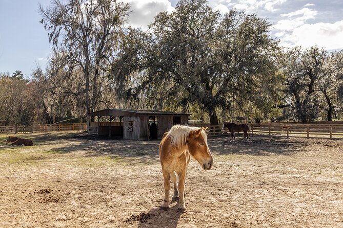Middleton Place Tour With Lunch and Transportation - Tour Highlights