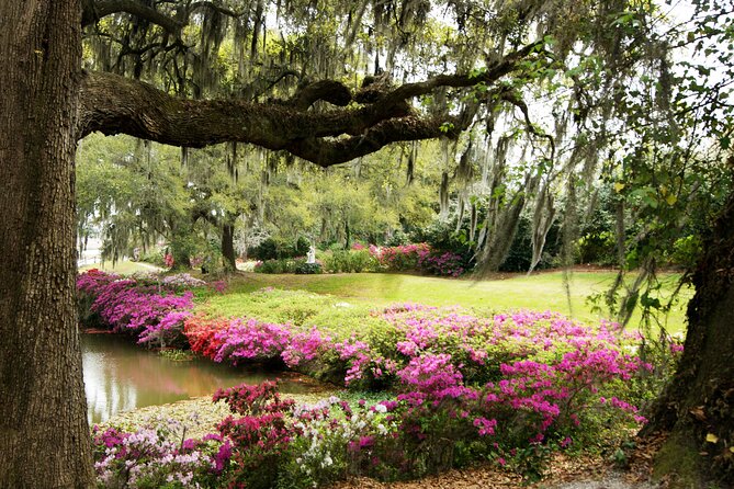 Middleton Place Tour With Lunch and Transportation - Dining Experience