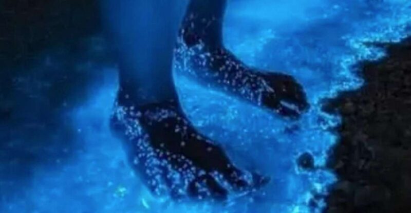 Midnight Holbox: Bioluminescence Kayaking Experience - Itinerary and Highlights