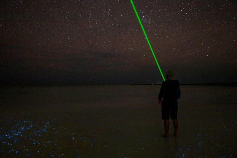 Midnight Holbox: Bioluminescence Kayaking Experience - Meeting and Equipment