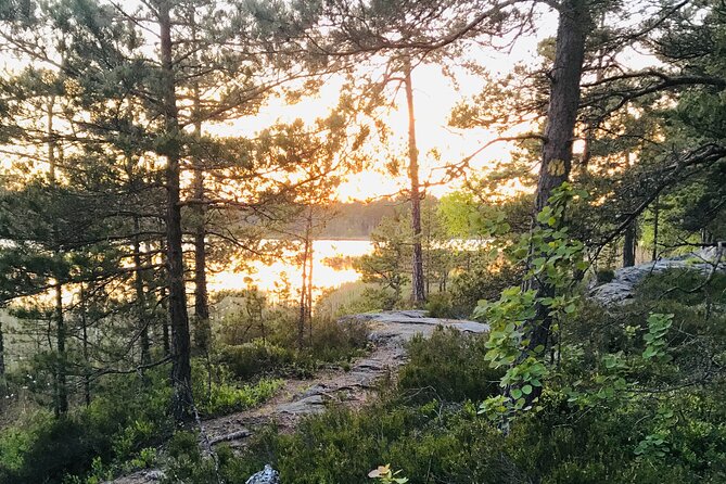 Midnight Sun and Campfire - Forest Evening Hike Outside Stockholm - Experience Overview