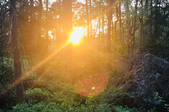 Midnight Sun and Campfire - Forest Evening Hike Outside Stockholm - Customer Reviews Breakdown