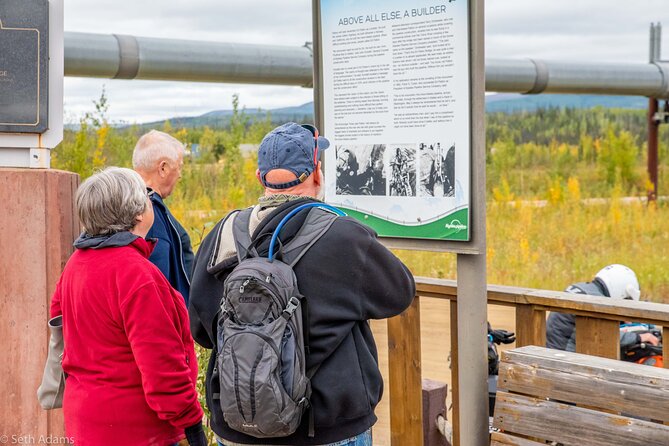 Midnight Sun Arctic Circle Drive Adventure - Guest Feedback and Recommendations