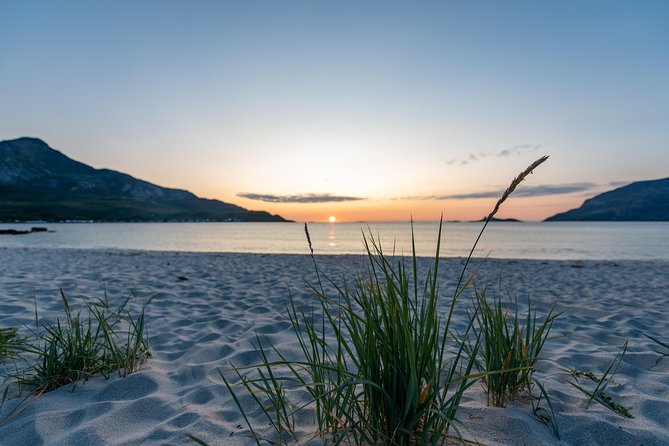 Midnight Sun Campfire Tour From Tromso - Immersed in Arctic Nature
