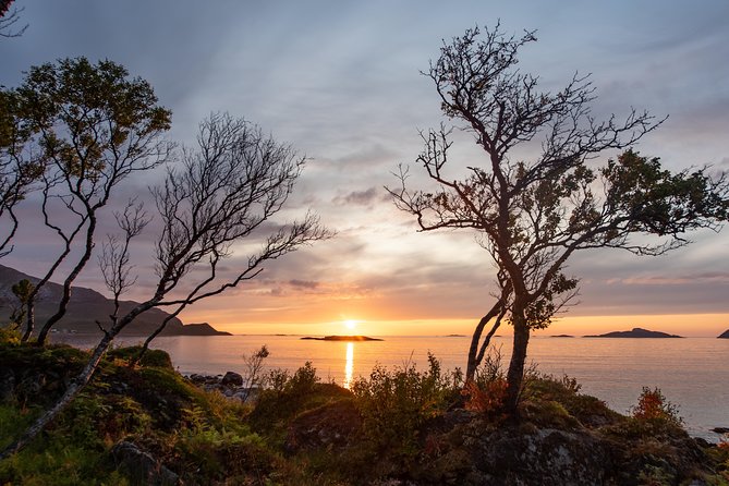 Midnight Sun Campfire Tour From Tromso - Memorable Summer Experiences