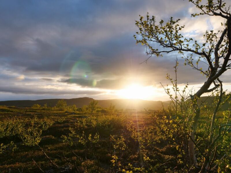 Midnight Sun Hike to the Shores of Lake Inari - Inclusions