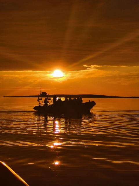 Midnight Sun Safari - Experience Highlights