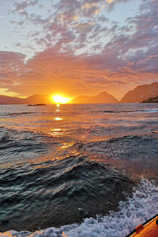Midnight Sun Safari - Booking Information