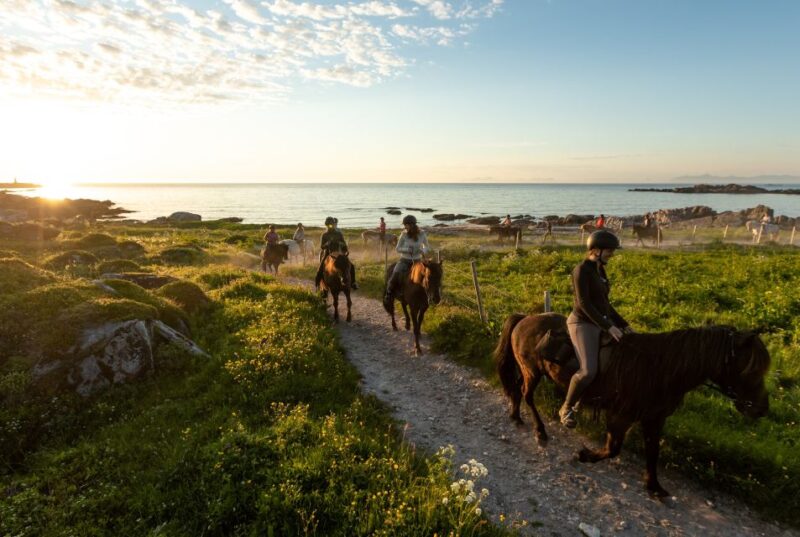 Midnight Sun Tour - Inclusions and Requirements