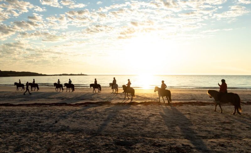 Midnight Sun Tour - Booking and Availability
