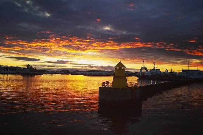 Midnight Sun Whale Watching From Reykjavik - Whale Watching Experience