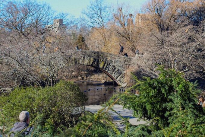 Midtown and Central Park Food Tour - Practical Tips