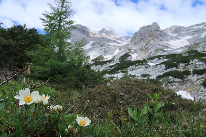 Mighty Mount Triglav Climb-summer Special-join Group - Climbing Difficulty and Requirements