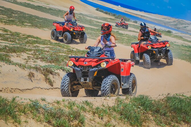 Migrino Beach & Desert ATV Tour in Cabo by Cactus Tours Park - Reviews and Ratings
