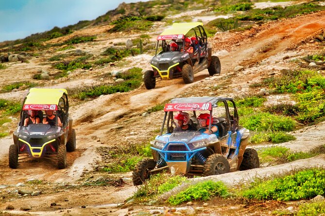 Migriño Beach Razor UTV Adventure - Customer Testimonials