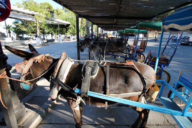 Mijas Private Walking Tour - Pricing and Booking Information